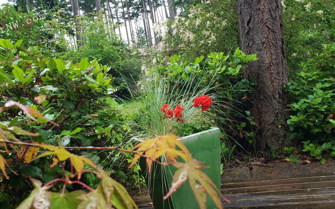 Rain, Rain: Please Stay!